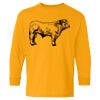  Heavy Cotton™ Long Sleeve T-Shirt (Youth) Thumbnail