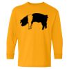  Heavy Cotton™ Long Sleeve T-Shirt (Youth) Thumbnail