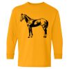  Heavy Cotton™ Long Sleeve T-Shirt (Youth) Thumbnail