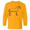  Heavy Cotton™ Long Sleeve T-Shirt (Youth) Thumbnail
