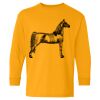  Heavy Cotton™ Long Sleeve T-Shirt (Youth) Thumbnail