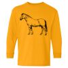  Heavy Cotton™ Long Sleeve T-Shirt (Youth) Thumbnail