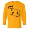 Heavy Cotton™ Long Sleeve T-Shirt (Youth) Thumbnail