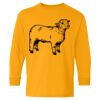  Heavy Cotton™ Long Sleeve T-Shirt (Youth) Thumbnail