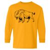  Heavy Cotton™ Long Sleeve T-Shirt (Youth) Thumbnail