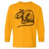  Heavy Cotton™ Long Sleeve T-Shirt (Youth) Thumbnail