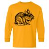  Heavy Cotton™ Long Sleeve T-Shirt (Youth) Thumbnail