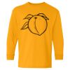  Heavy Cotton™ Long Sleeve T-Shirt (Youth) Thumbnail