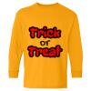 Heavy Cotton™ Long Sleeve T-Shirt (Youth) Thumbnail