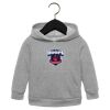 Toddler Sponge Fleece Pullover Hoodie Thumbnail