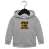 Toddler Sponge Fleece Pullover Hoodie Thumbnail