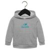 Toddler Sponge Fleece Pullover Hoodie Thumbnail