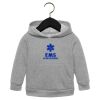 Toddler Sponge Fleece Pullover Hoodie Thumbnail